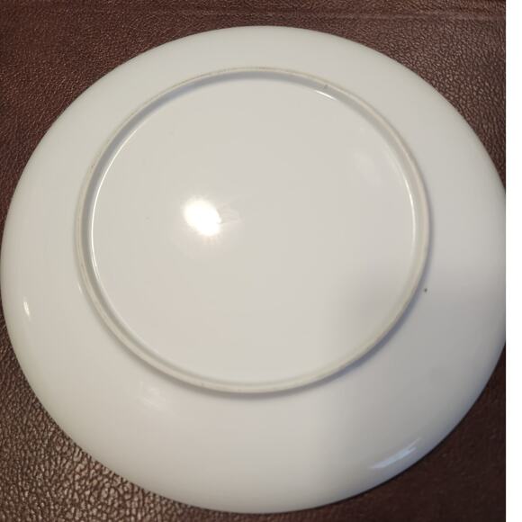 San Antonio‎ Restaurant Association Presentation Plate 1984 - Picture 2 of 3